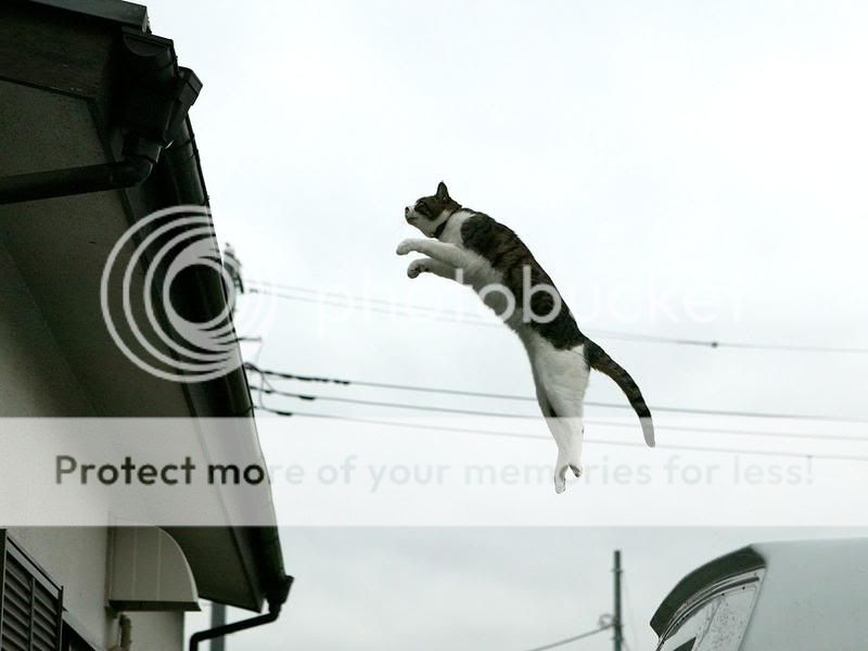 点击打开新视窗～滚动滑鼠可放大图片!